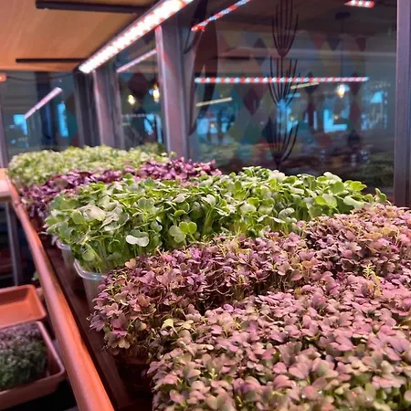 Mountain Luis Lägenhetshotell Kaprun