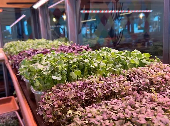 Mountain Luis Apart-hotel Kaprun